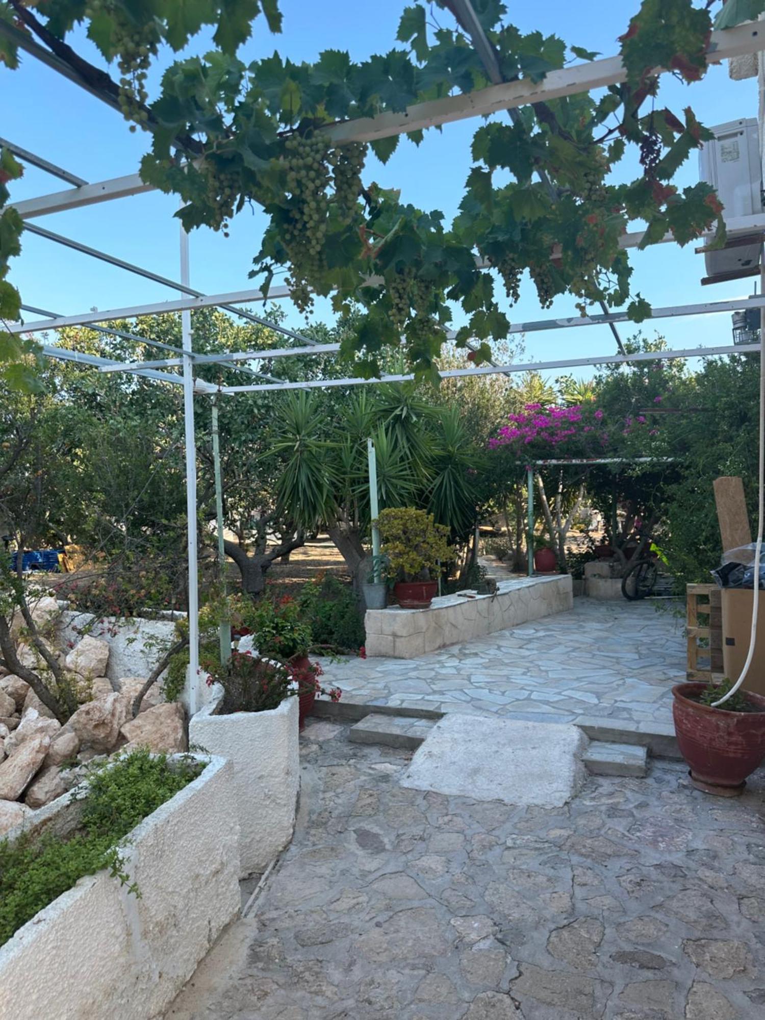 Apartamento Solmar Aegina With Private Pool - Jacuzzi Khloi Exterior foto